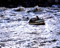 Day 18: The Colorado River Swim Club