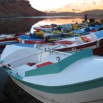 The flotilla tied up at our first camp, just fifty yards downstream from the load-in point. Early morning of launch day, getting set to head down the Canyon.